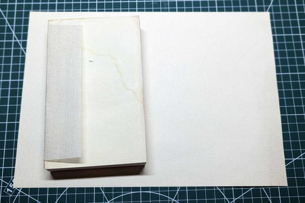 cream-coloured paper for the end papers