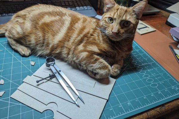 Cutting and measuring, with the help of Ziggy