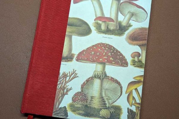 My second Journal with a mushroom patterned paper