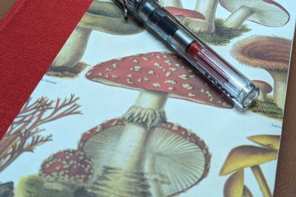 My second Journal with a mushroom patterned paper, and my fountain pen